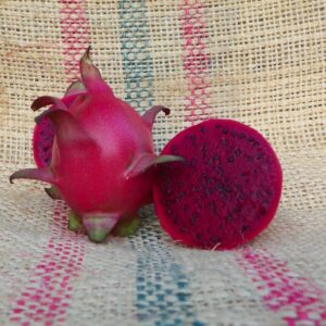 Dragon Fruit Cultivar : Armando Why Choose Armando   Dragon Fruits? Dragon fruit enthusiasts, rejoice! Our exclusive selection features two remarkable cultivars—Armando and Cosmic Charlie—designed for gardeners and fruit lovers seeking premium-quality fruit. With their vibrant colors, unique flavors, and easy-to-grow plants, these varieties are guaranteed to elevate your gardening experience and delight your taste buds. Armando boasts deep red flesh and a firm texture, delivering a striking visual appeal and delicious taste. Cosmic Charlie, on the other hand, offers purple flesh with cherry-grape flavor notes, ideal for those craving a sweeter fruit option. Whether you grow them for personal consumption, gifting, or commercial sale, both cultivars promise unmatched value. Distinct Features of Armando Dragon Fruit Armando is an eye-catching dragon fruit variety that combines moderate growth with manageable plant care. Perfectly suited for new and experienced gardeners alike, this cultivar produces fruits weighing approximately 1 pound, making portion control a breeze. Its plant features sturdy three-sided stems, ensuring reliable growth and resilience. However, it's important to note that Armando is self-sterile, which means you'll need a compatible pollinator to ensure fruitful harvests. With a current price of R320 (reduced from R400), Armando delivers incredible quality at an unbeatable value.  