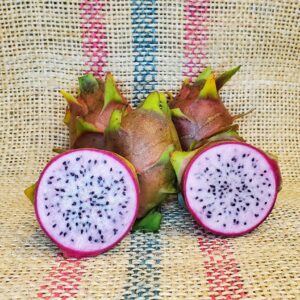 Dragon Fruit Cultivar : Asunta 2